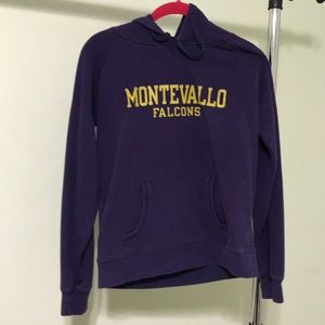 2/$15 bundle Champion Montevallo Falcons hoody
